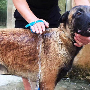New Pet Bathing Tool Comfortable Massager Shower Tool Cleaning Washing Bath Sprayers Dog Brush Pet Supplies Wholesale