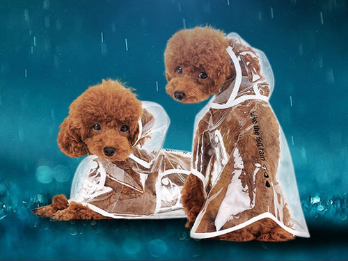 HOOPET Dog Clothes transparent raincoat light clothes waterproof beautiful small dog raincoat  with hood
